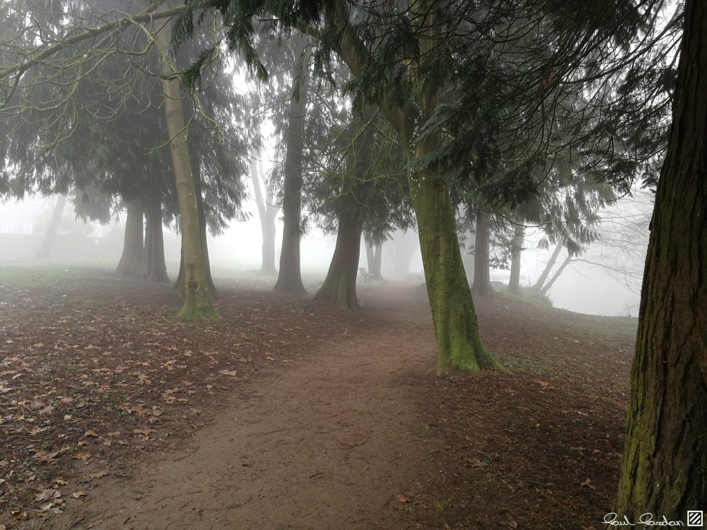 In the park.