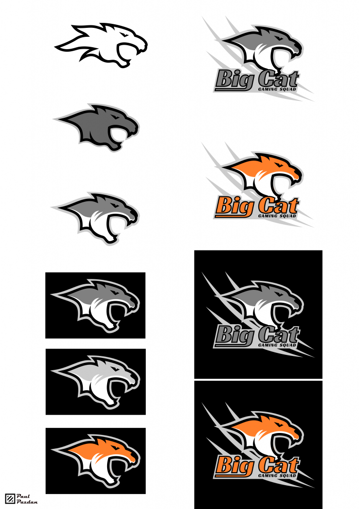 Big Cat - workbench.