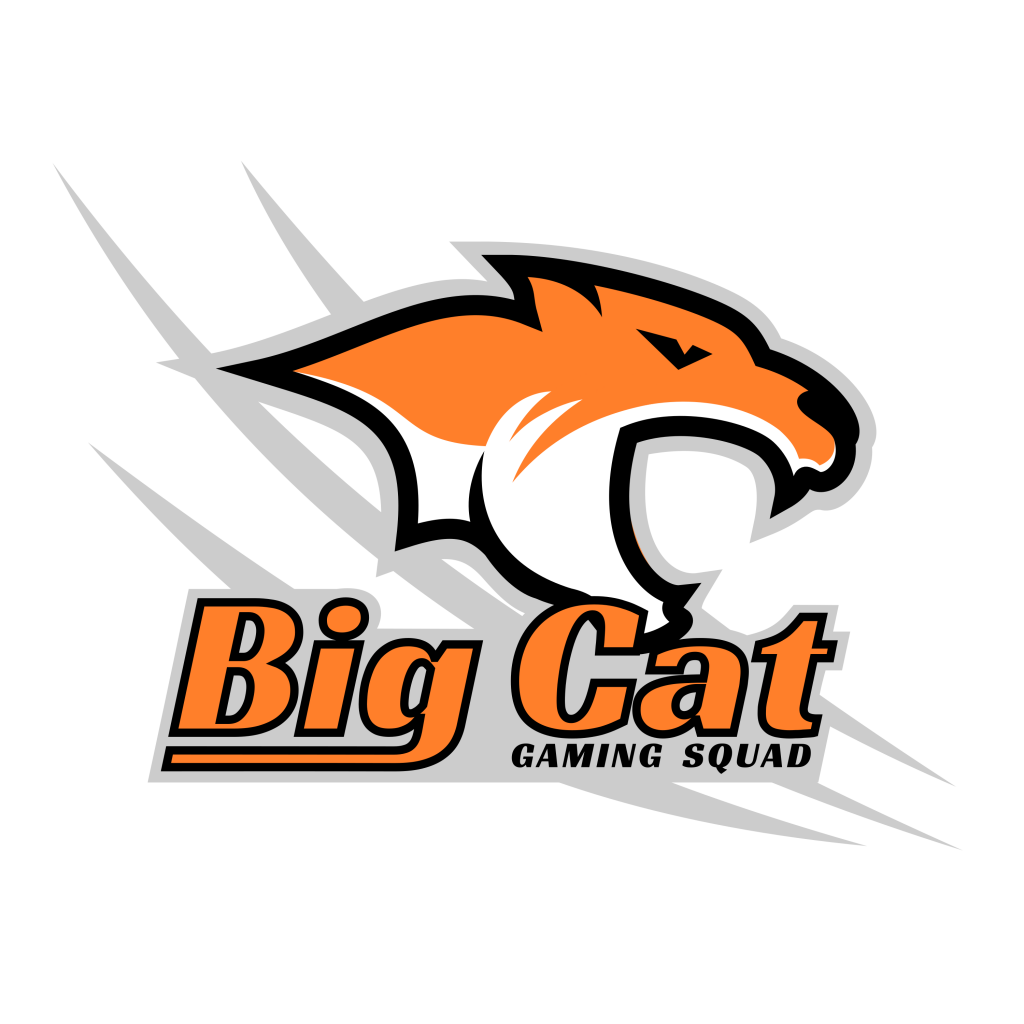 Big Cat - orange, black and grey with white background.