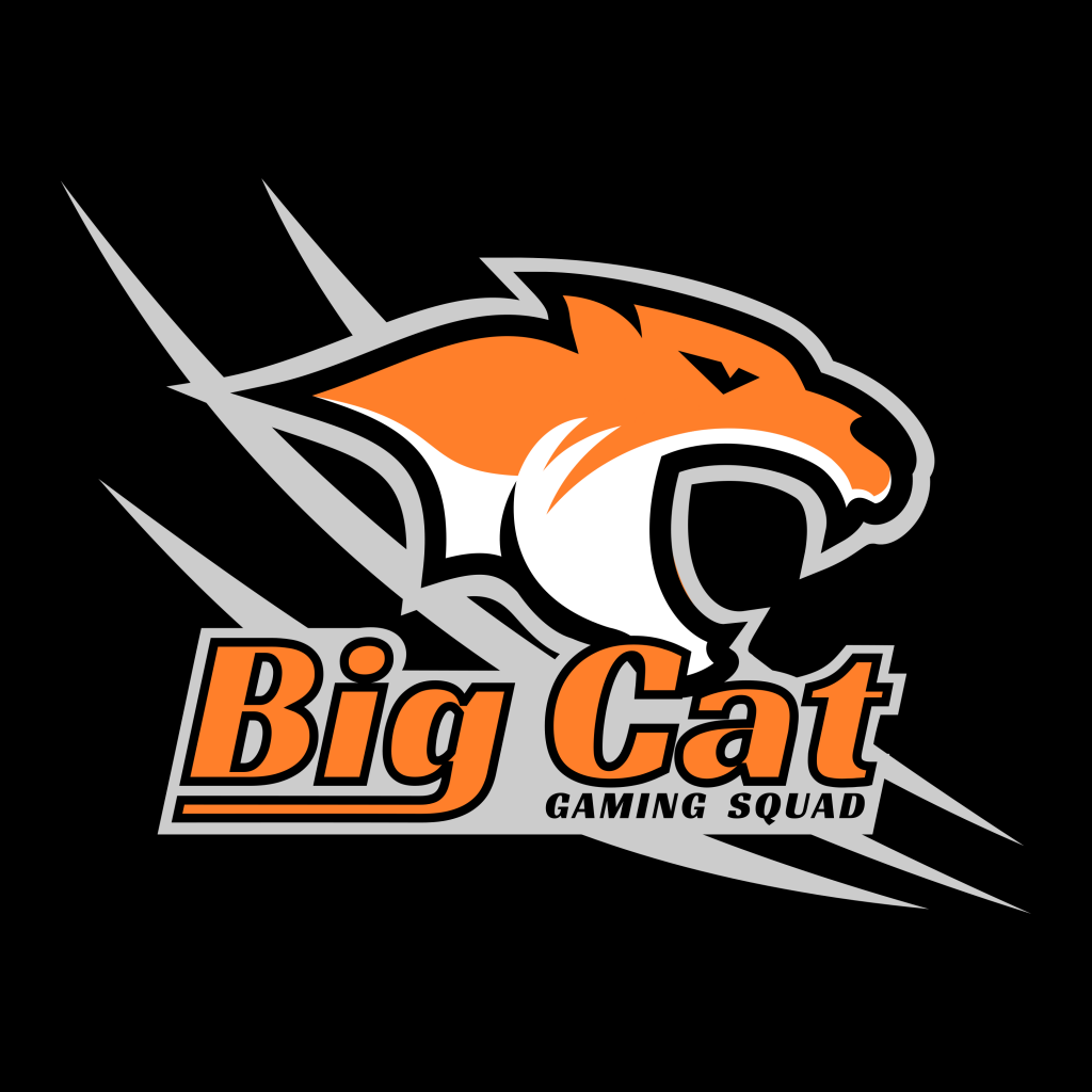 Big Cat - orange, black and grey with black background.
