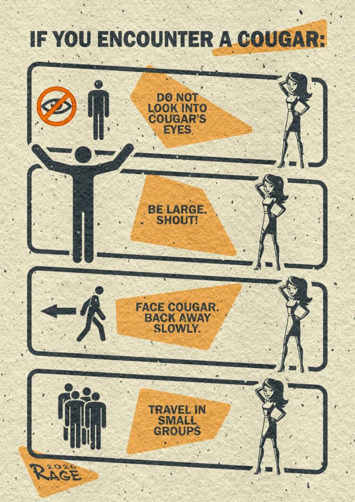 If You Encounter a Cougar...